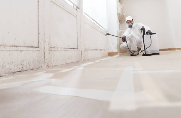 24/7 Emergency Crawl Space Mold Removal experts in Fort Lee, VA