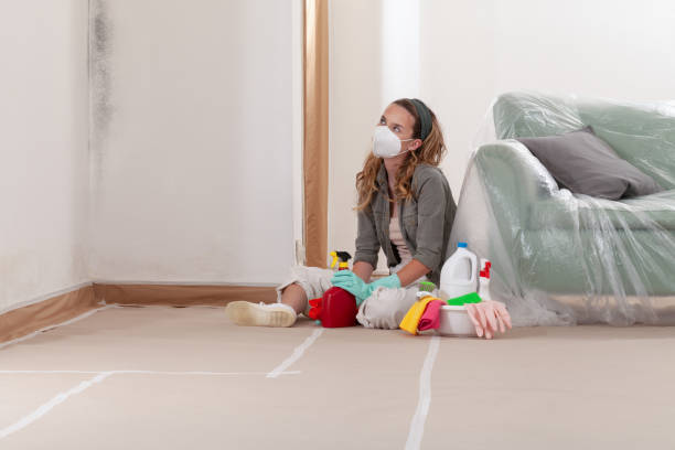 Reliable Mold Cleanup contractor in Fort Lee, VA by Cheap Mold Removal